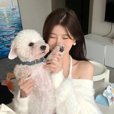 完美妻子的完美复仇计划